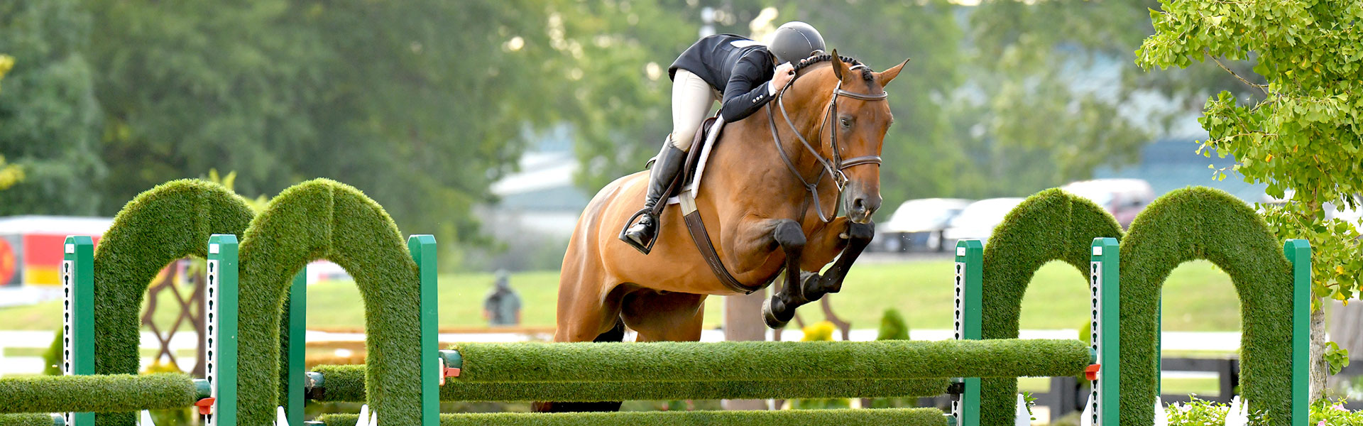 HORSE SHOW SCHEDULE 2024 Larkin Meadows