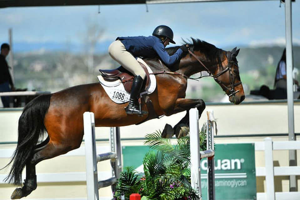 HORSE SHOW SCHEDULE 2024 Larkin Meadows